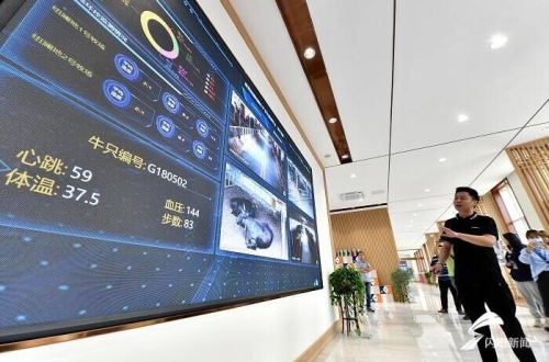 精品一区在线，探索高质量数字内容的新天地精品一区在线电影中文字幕