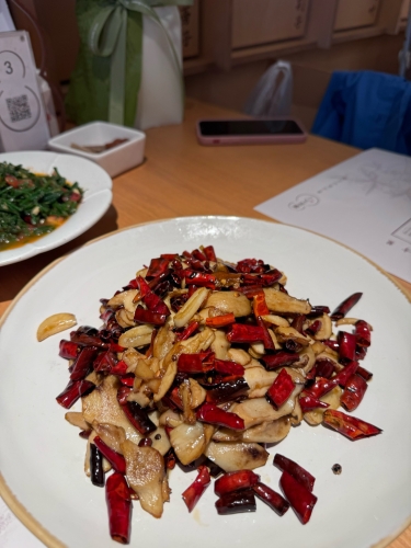 以下是为您准备的专业替代方案，精品久久久久久久自慰视频