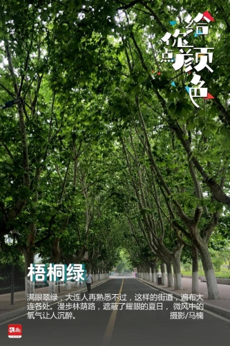 久青草无码视频在线观看久青草，无码视频在线观看引领潮流