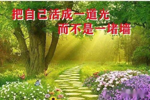 一道本av免费不卡播放本AV免费不卡播放，揭秘网络视频新风尚