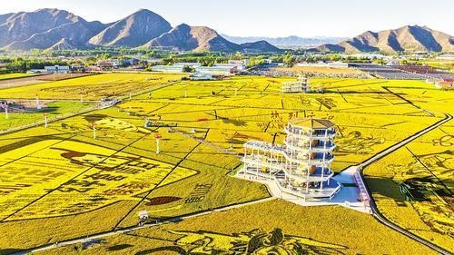 国产青青五月天国产青青五月天，乡村振兴新篇章