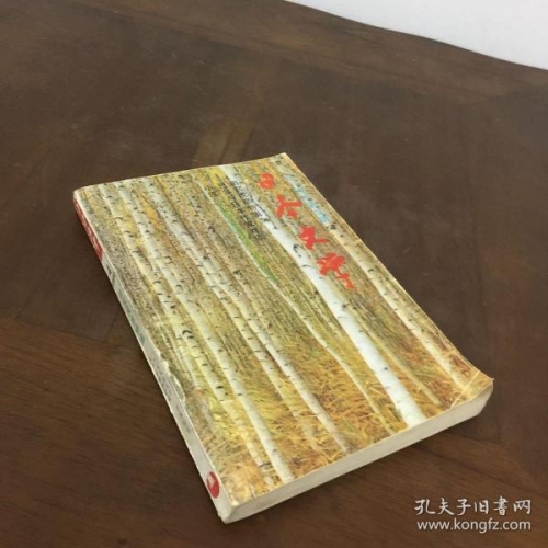 精品久久综合日本网，深度解析日本文化与新闻资讯