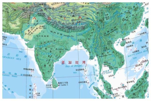 亚洲AV无码国产综合专区，引领潮流，汇聚精品