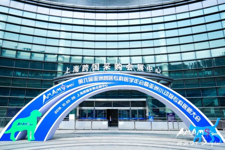 亚洲精品在线观亚洲精品在线观，探索文化与艺术的璀璨明珠