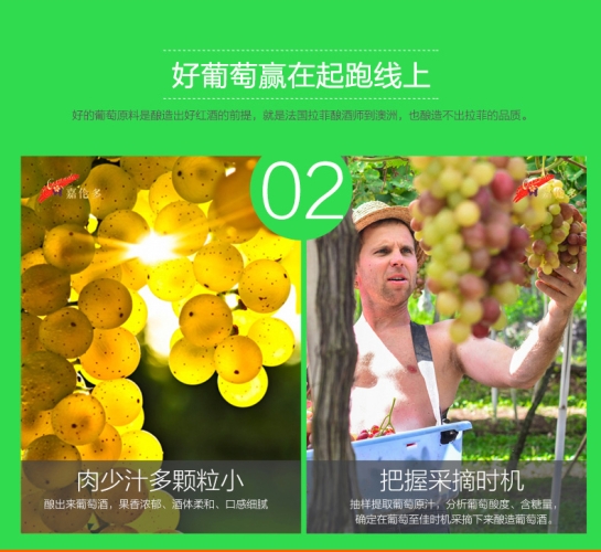 探索成人欧美区的多元魅力精产一二三产区划分标准图片