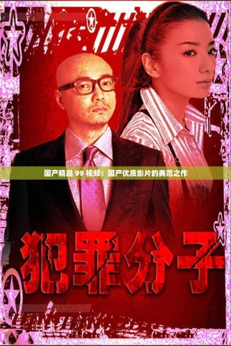 久久精品视频，国产视频的新篇章