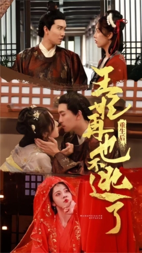 亚洲中文字幕无码一区999，揭秘神秘区域的文化魅力