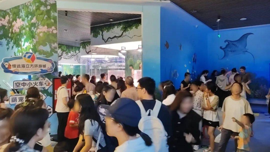 探索人人鲁人人操背后的新闻故事