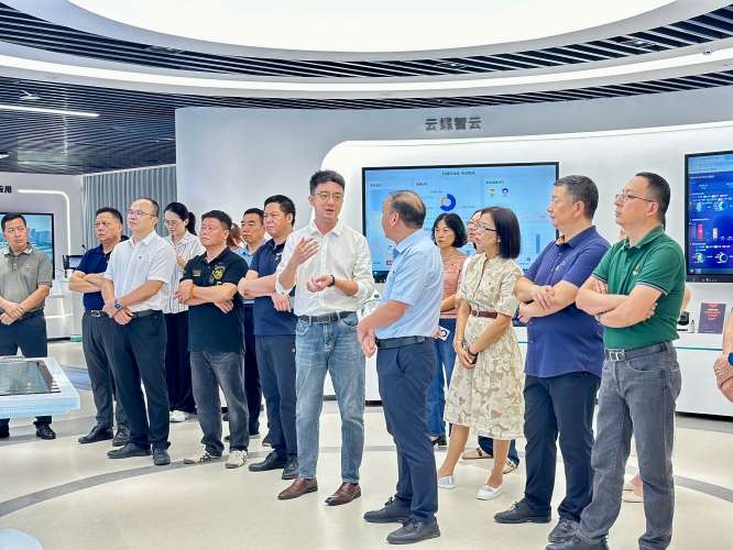 国产一区二区三区视频国产一区二区三区视频，聚焦区域发展新篇章